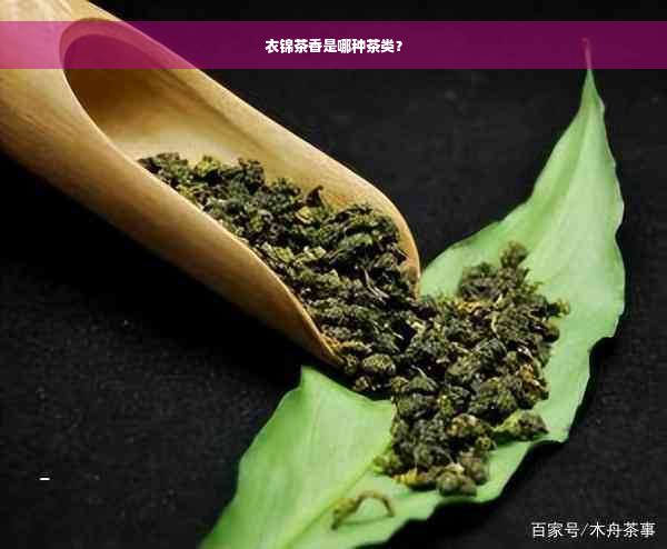 衣锦茶香是哪种茶类？