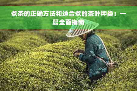 煮茶的正确方法和适合煮的茶叶种类：一篇全面指南