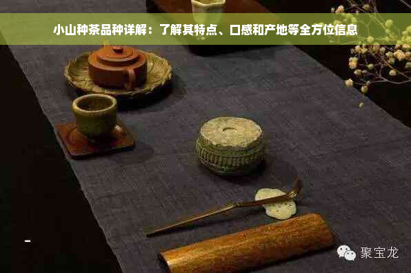 小山种茶品种详解：了解其特点、口感和产地等全方位信息