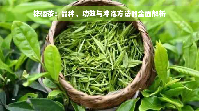 锌硒茶：品种、功效与冲泡方法的全面解析