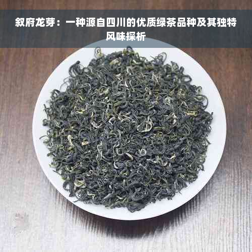 叙府龙芽：一种源自四川的优质绿茶品种及其独特风味探析