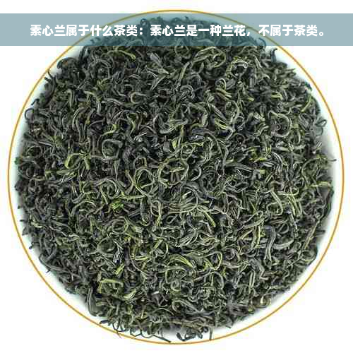 素心兰属于什么茶类：素心兰是一种兰花，不属于茶类。