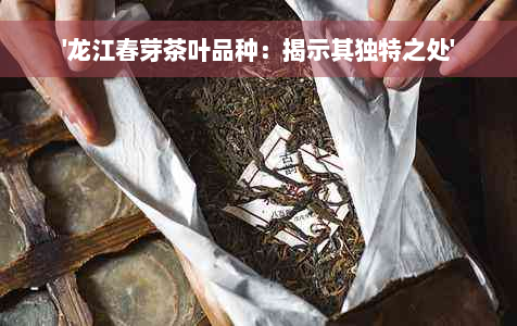 '龙江春芽茶叶品种：揭示其独特之处'