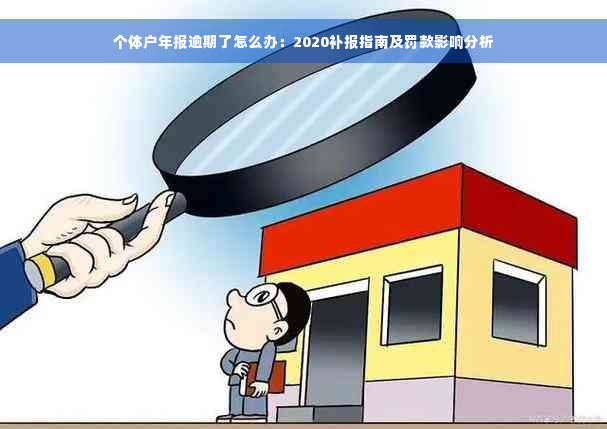 个体户年报逾期了怎么办：2020补报指南及罚款影响分析