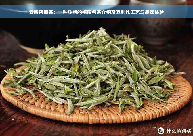 云霄丹凤茶：一种独特的福建名茶介绍及其制作工艺与品饮体验