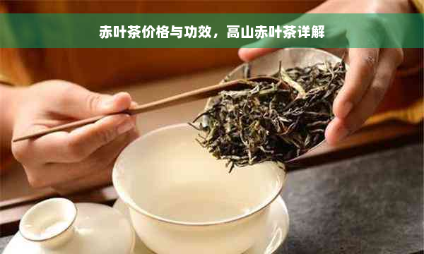 赤叶茶价格与功效，高山赤叶茶详解