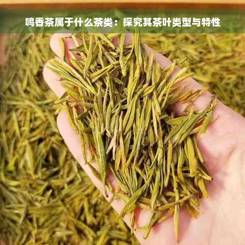 鸣香茶属于什么茶类：探究其茶叶类型与特性