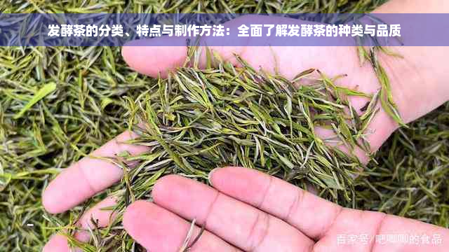 发酵茶的分类、特点与制作方法：全面了解发酵茶的种类与品质