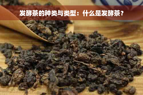 发酵茶的种类与类型：什么是发酵茶？