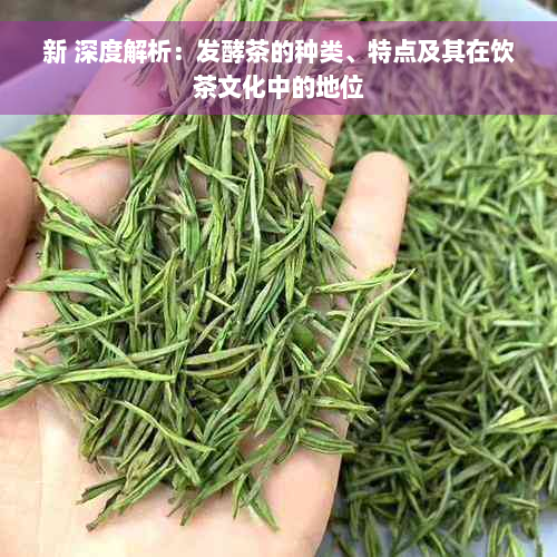 新 深度解析：发酵茶的种类、特点及其在饮茶文化中的地位