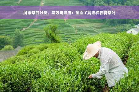 凤眼茶的分类、功效与泡法：全面了解这种独特茶叶