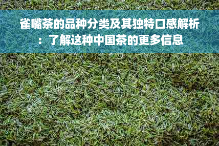 雀嘴茶的品种分类及其独特口感解析：了解这种中国茶的更多信息