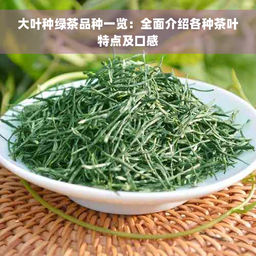 大叶种绿茶品种一览：全面介绍各种茶叶特点及口感