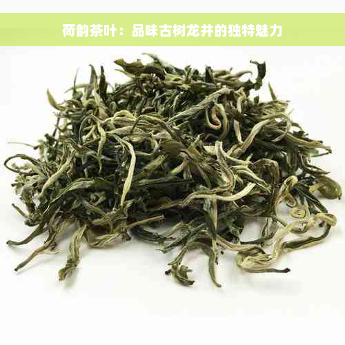 荷韵茶叶：品味古树龙井的独特魅力