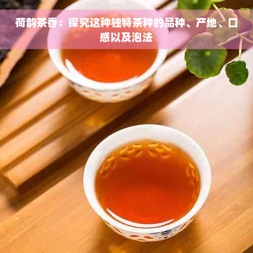 荷韵茶香：探究这种独特茶种的品种、产地、口感以及泡法