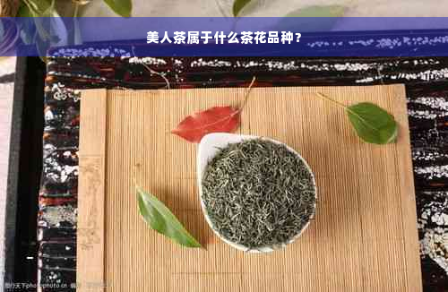 美人茶属于什么茶花品种？