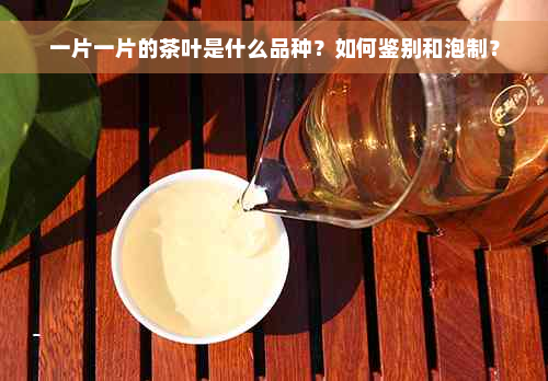 一片一片的茶叶是什么品种？如何鉴别和泡制？