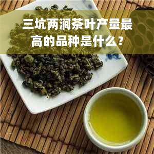 三坑两涧茶叶产量更高的品种是什么？