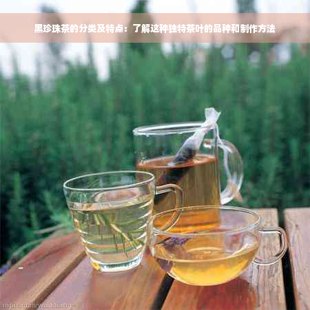 黑珍珠茶的分类及特点：了解这种独特茶叶的品种和制作方法