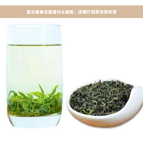 密兰香单丛茶是什么茶类，详细介绍及功效作用