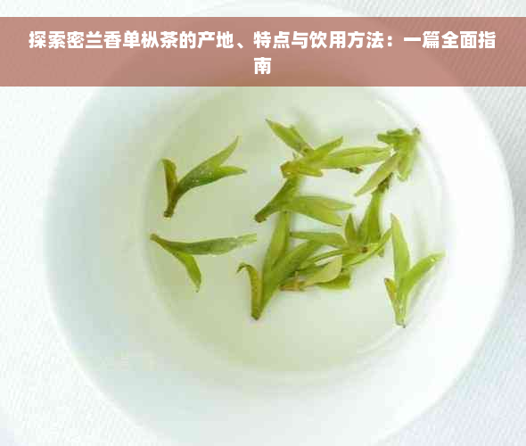 探索密兰香单枞茶的产地、特点与饮用方法：一篇全面指南