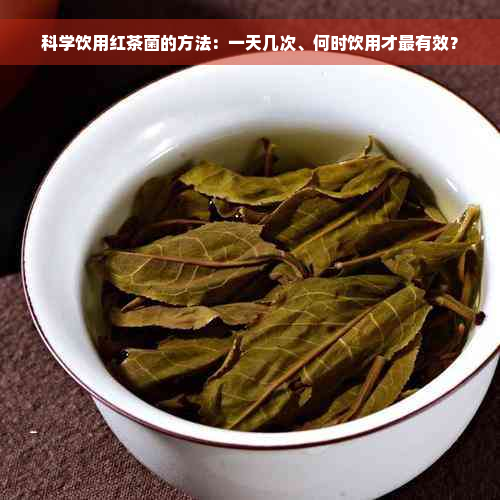 科学饮用红茶菌的方法：一天几次、何时饮用才最有效？