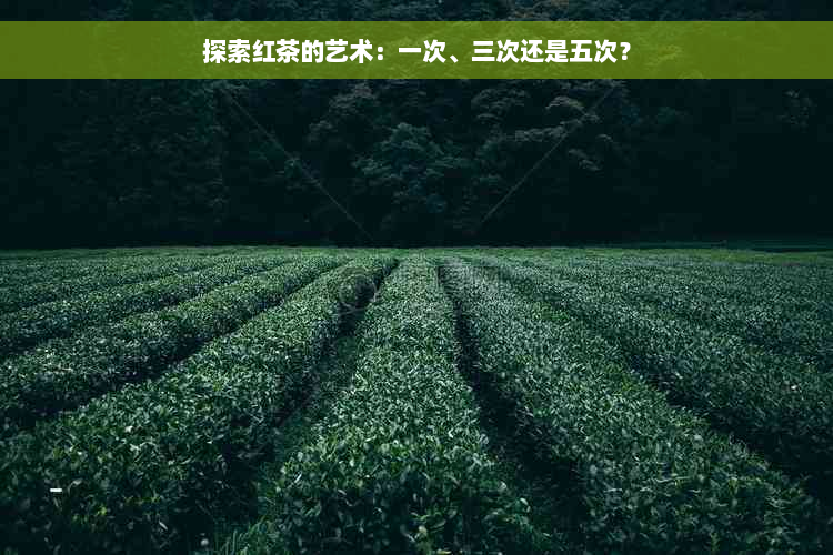 探索红茶的艺术：一次、三次还是五次？