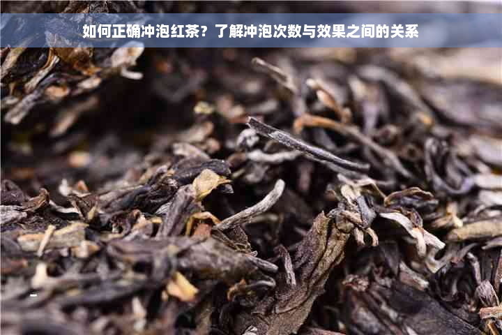 如何正确冲泡红茶？了解冲泡次数与效果之间的关系