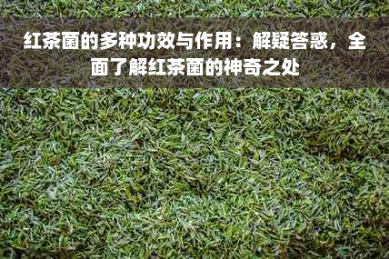 红茶菌的多种功效与作用：解疑答惑，全面了解红茶菌的神奇之处