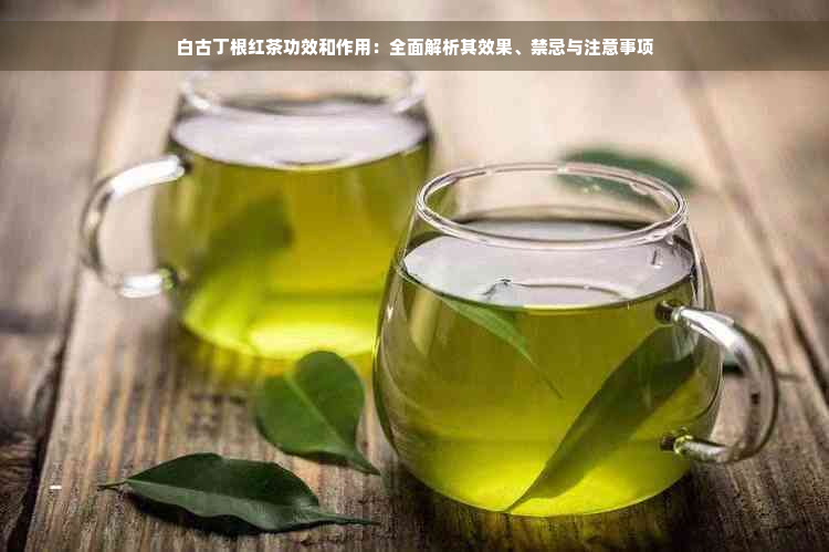 白古丁根红茶功效和作用：全面解析其效果、禁忌与注意事项