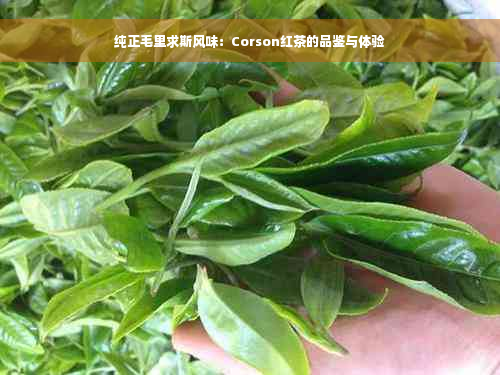 纯正毛里求斯风味：Corson红茶的品鉴与体验