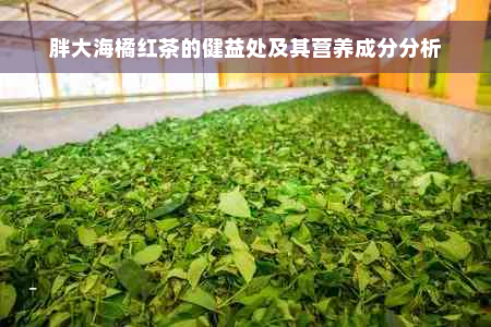 胖大海橘红茶的健益处及其营养成分分析