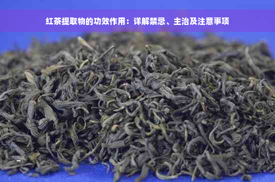 红茶提取物的功效作用：详解禁忌、主治及注意事项