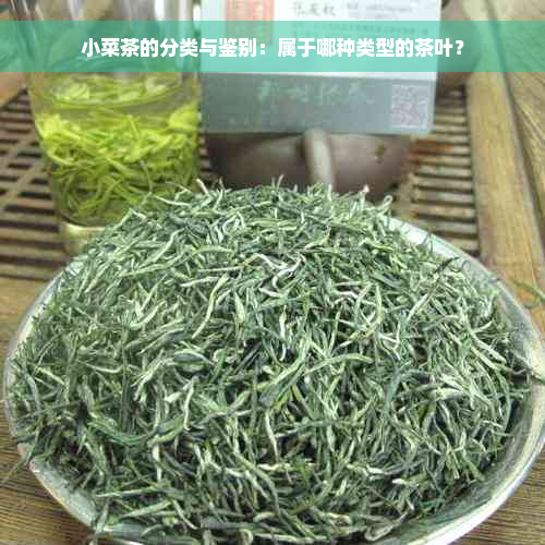 小菜茶的分类与鉴别：属于哪种类型的茶叶？