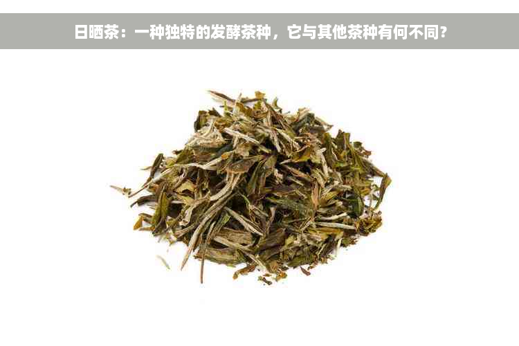 日晒茶：一种独特的发酵茶种，它与其他茶种有何不同？