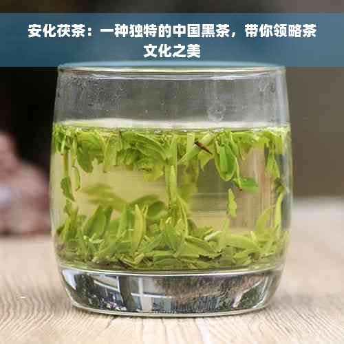 安化茯茶：一种独特的中国黑茶，带你领略茶文化之美