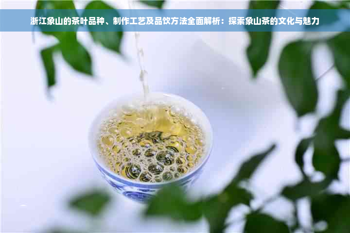 浙江象山的茶叶品种、制作工艺及品饮方法全面解析：探索象山茶的文化与魅力