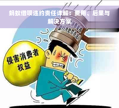 蚂蚁借呗违约责任详解：费用、后果与解决方案