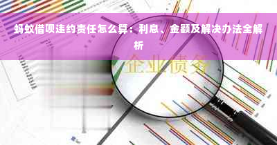 蚂蚁借呗违约责任怎么算：利息、金额及解决办法全解析