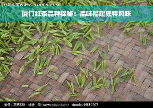 厦门红茶品种探秘：品味福建独特风味