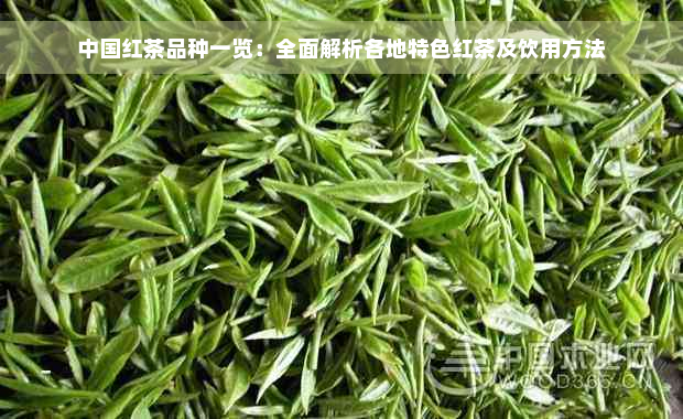 中国红茶品种一览：全面解析各地特色红茶及饮用方法