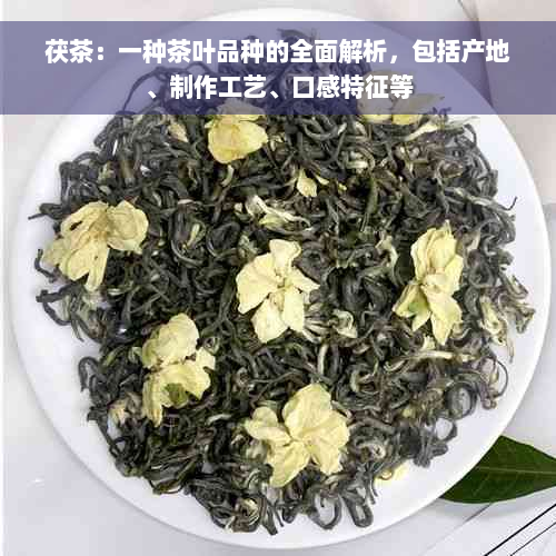 茯茶：一种茶叶品种的全面解析，包括产地、制作工艺、口感特征等