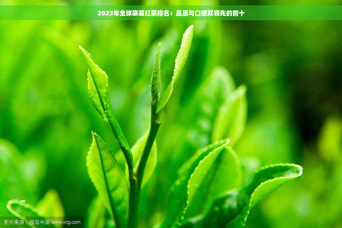 2023年全球袋装红茶排名：品质与口感双领先的前十