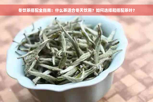 冬饮茶搭配全指南：什么茶适合冬天饮用？如何选择和搭配茶叶？