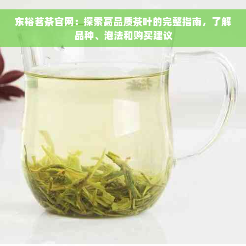 东裕茗茶官网：探索高品质茶叶的完整指南，了解品种、泡法和购买建议