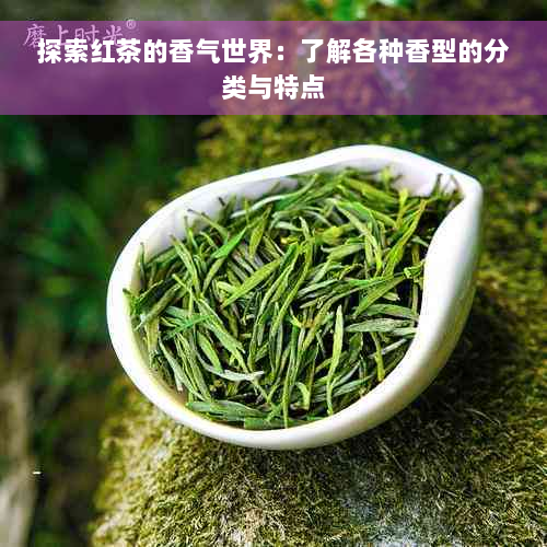 探索红茶的香气世界：了解各种香型的分类与特点