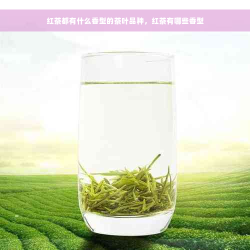 红茶都有什么香型的茶叶品种，红茶有哪些香型