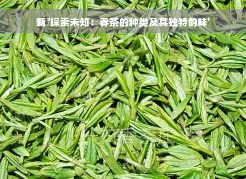 新 '探索未知：春茶的种类及其独特韵味'