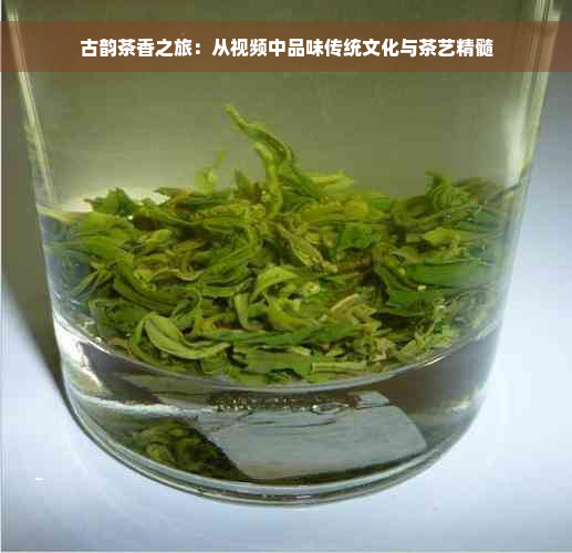 古韵茶香之旅：从视频中品味传统文化与茶艺精髓