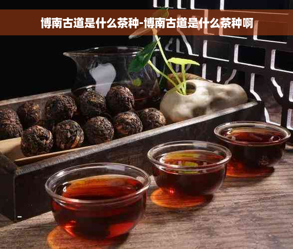 博南古道是什么茶种-博南古道是什么茶种啊